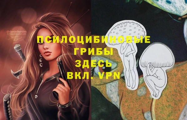 альфа пвп Магас