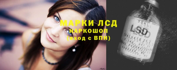 молекула духа Медвежьегорск