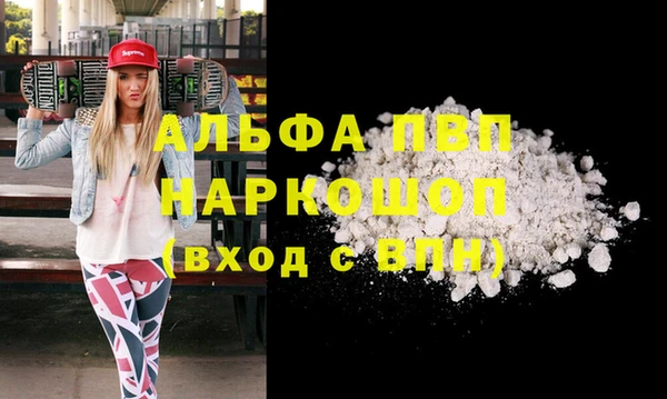 молекула духа Медвежьегорск