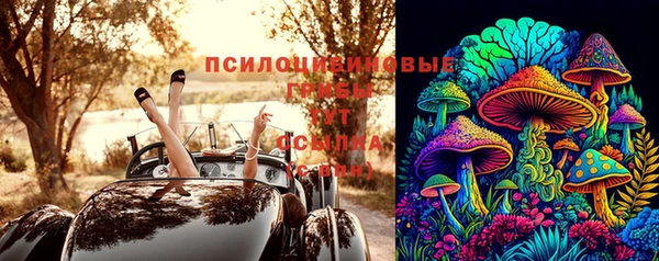 молекула духа Медвежьегорск