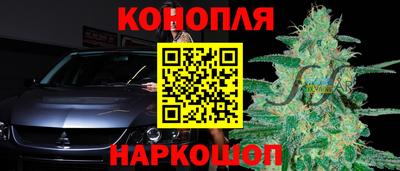 PSILOCYBIN Кунгур